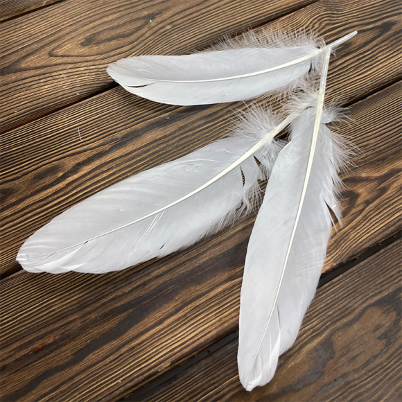 Белые декоративные перья